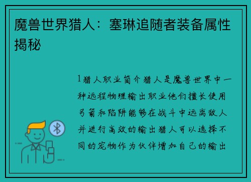 魔兽世界猎人：塞琳追随者装备属性揭秘